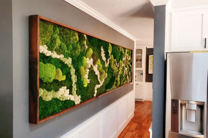 A moss wall in a home hallway