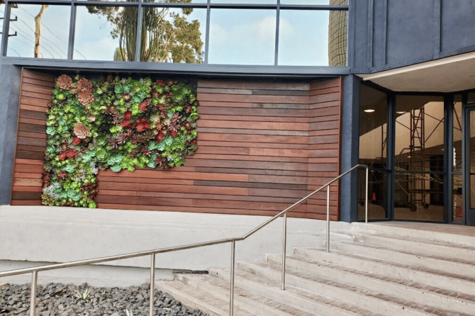 a succulent faux wall in an outdoor setting