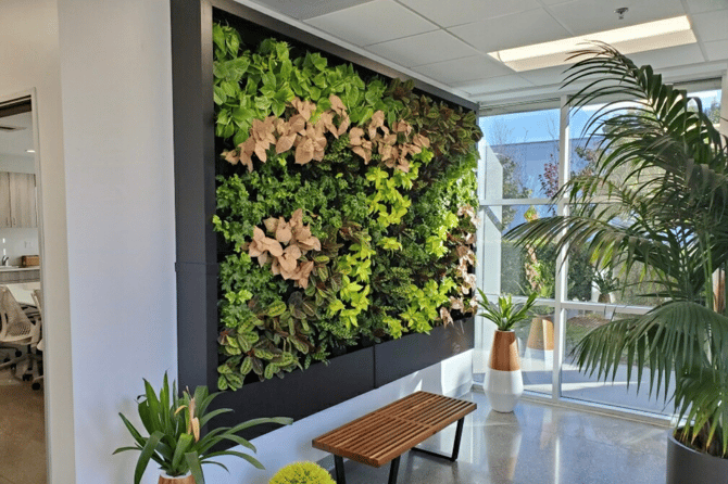 indoor living wall 1