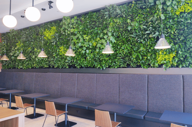 Indoor living wall in dining room setting