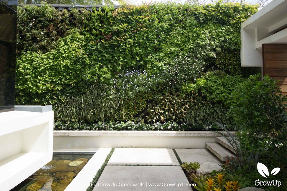 A greenwall in an outdoor space