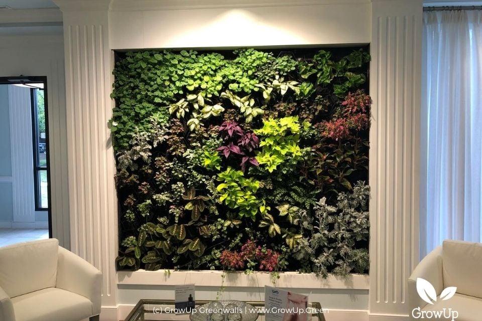 Indoor living wall