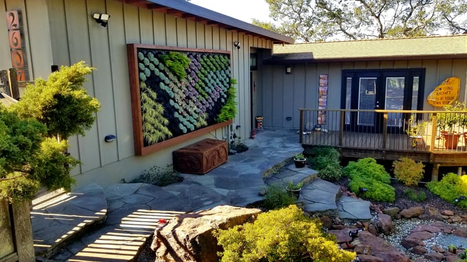 Outdoor succulent wall in an interesting garden landscape