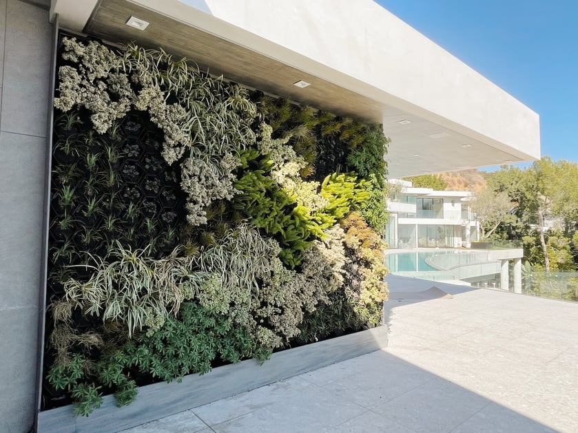 a greenwall in the back of a home in Los Angeles, CA