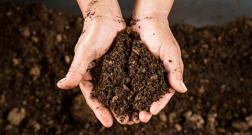 hands holding a pile of dirt