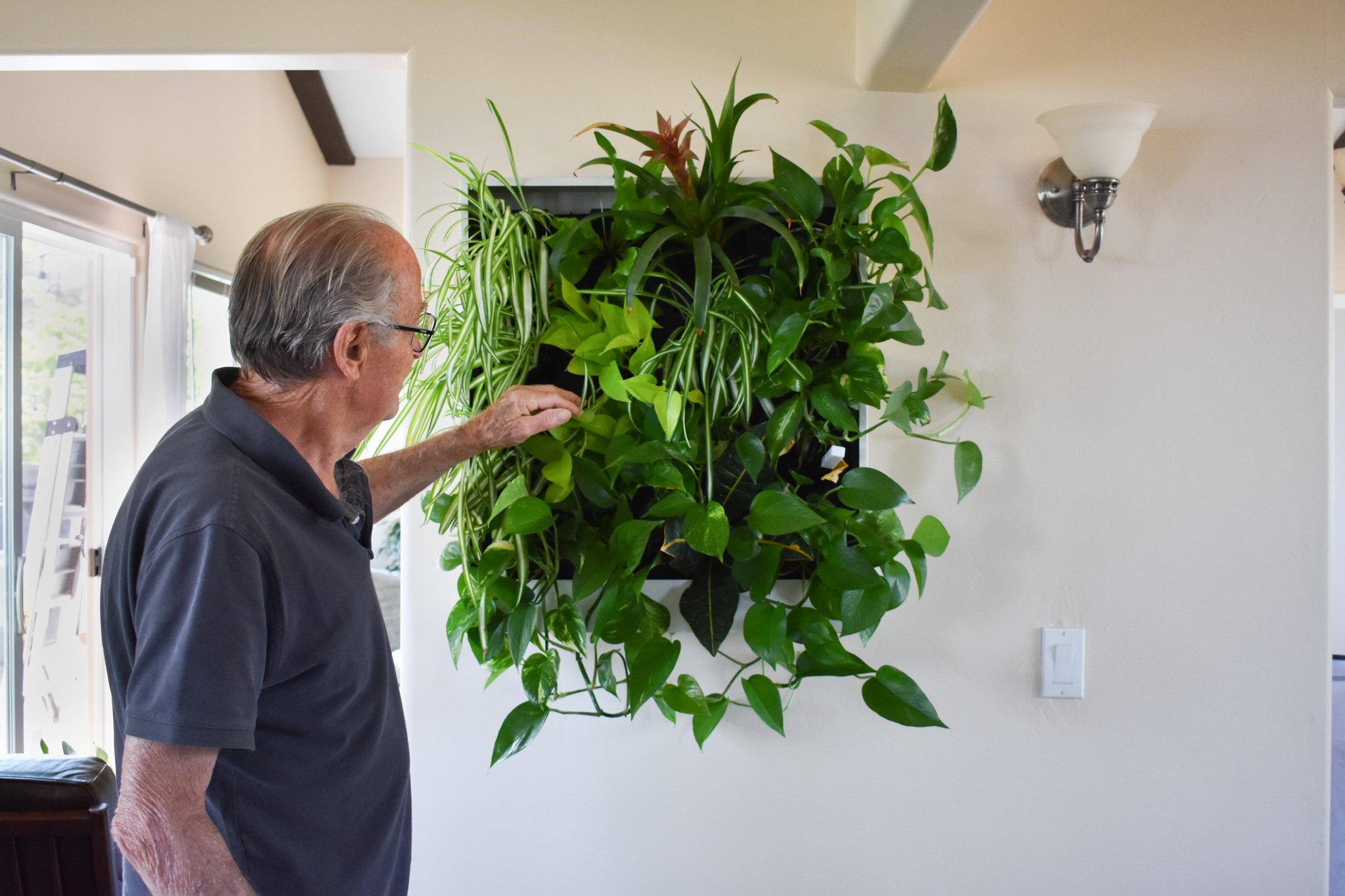 Senior man touching living plant greenwall