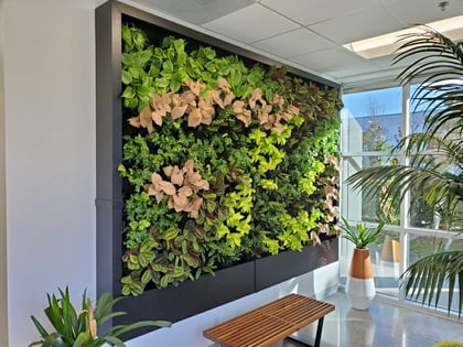 Why Biophilic Design is Integral to Our Well-Being