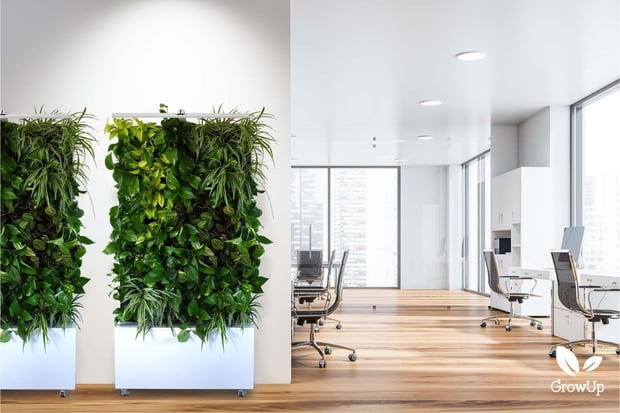 2 mobile divider Greenwalls in a minimalist office setting