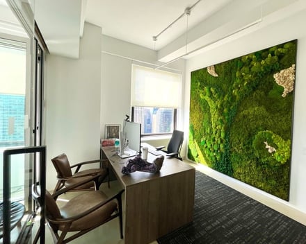 Sunlight on a moss wall in a new York office