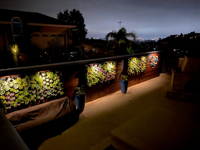 Three succulent walls outside at night, showing off their strategic lighting setup