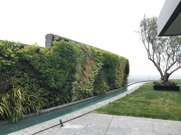 A large outdoor greenwall