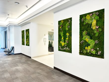 Moss walls in a hallway