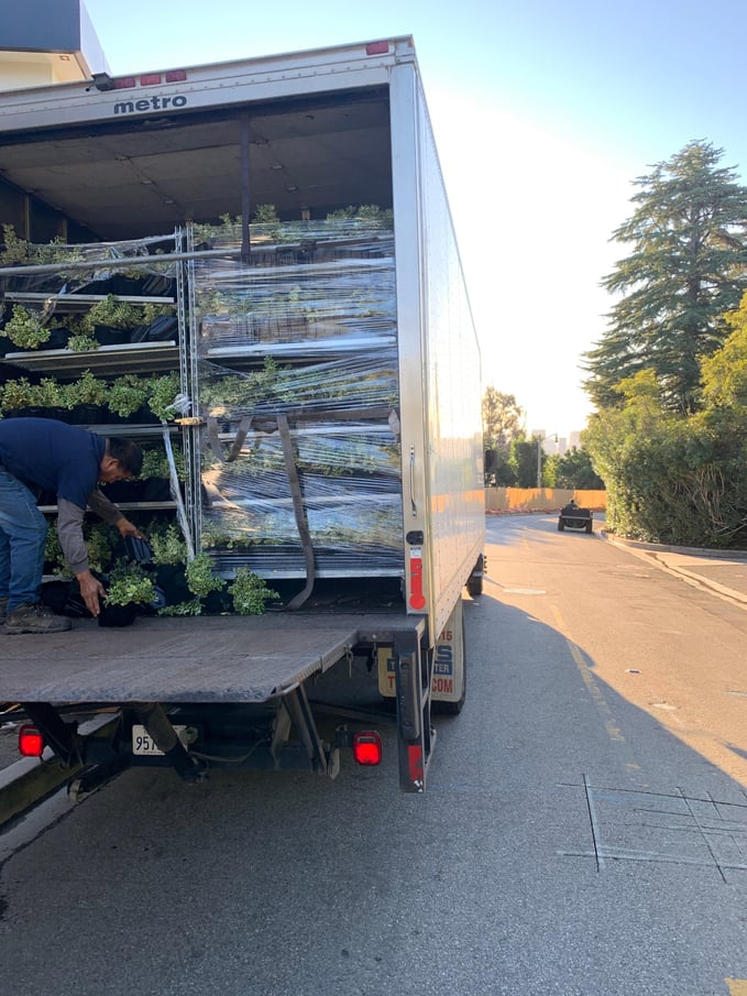 Plants For Greenwall Being Delivered on Racks