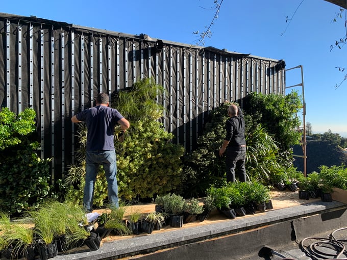 Greenwall being installed