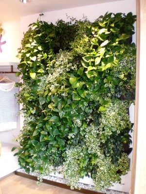 Growup vertical farming | living wall in your home
