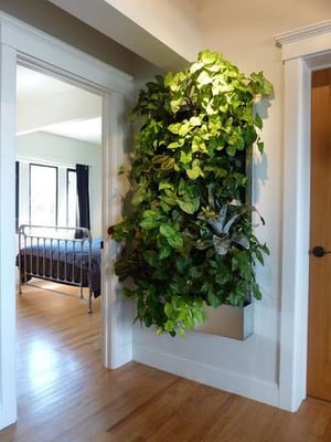 Growup vertical farming | grow wall in the bedroom