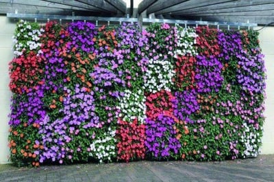 Jardín vertical realizado con botes de refrescos de cola Vertical Garden made with cans of cola