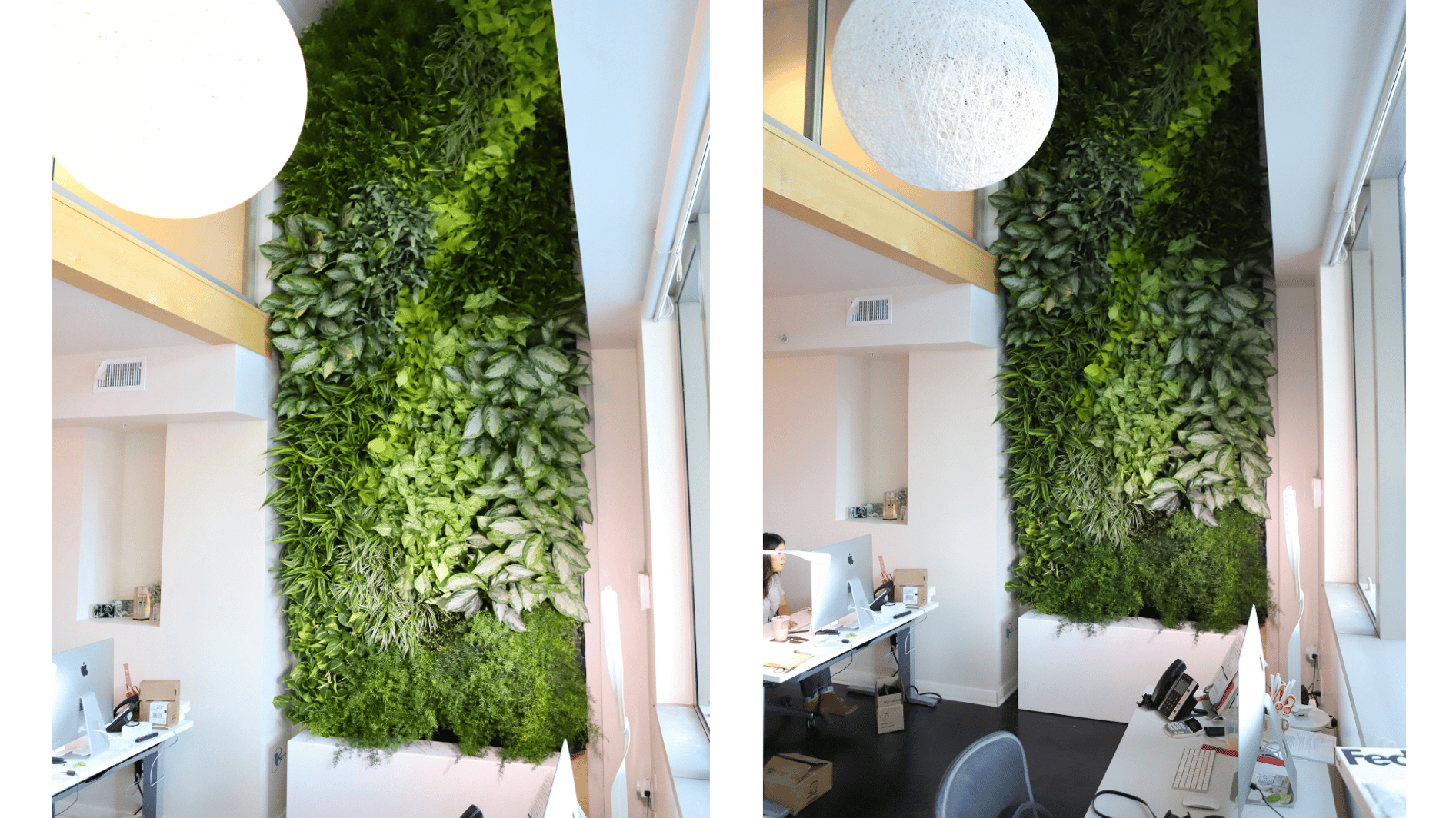 Growup Green walls