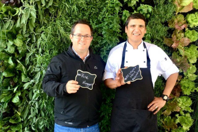 Going back to our roots: the story of GrowUp’s green wall systems