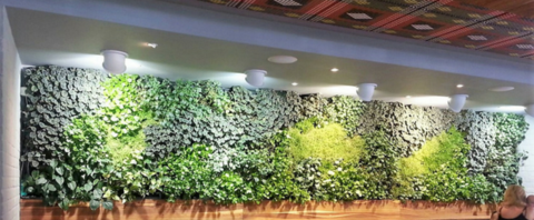 A greenwall extended along a wall with lighting on it
