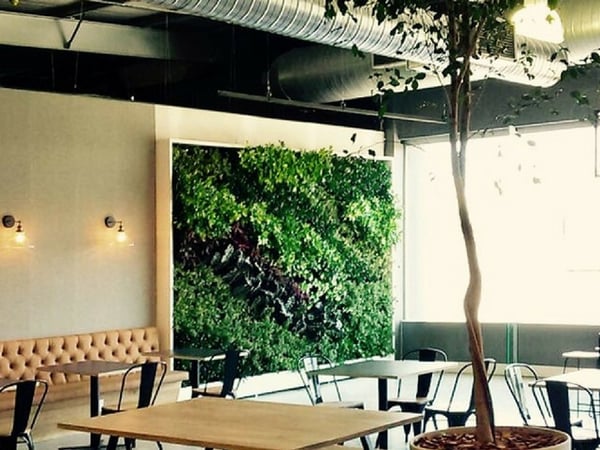Why vertical garden for an office