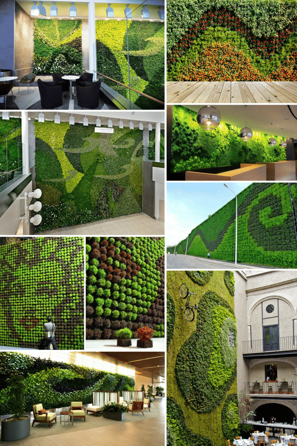 decorative green walls