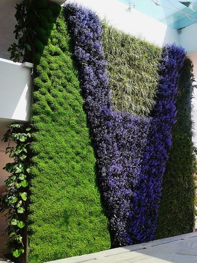 vertical garden ideas