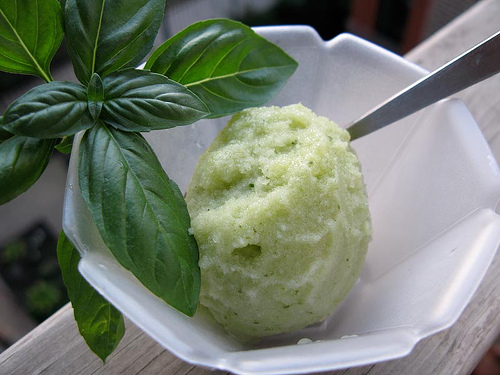 Scoop of lime and basil sorbet | GrowUp Vertical Farming
