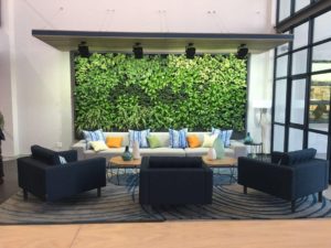 How does Biophilic Design Work, and Where Can Greenwalls Help?