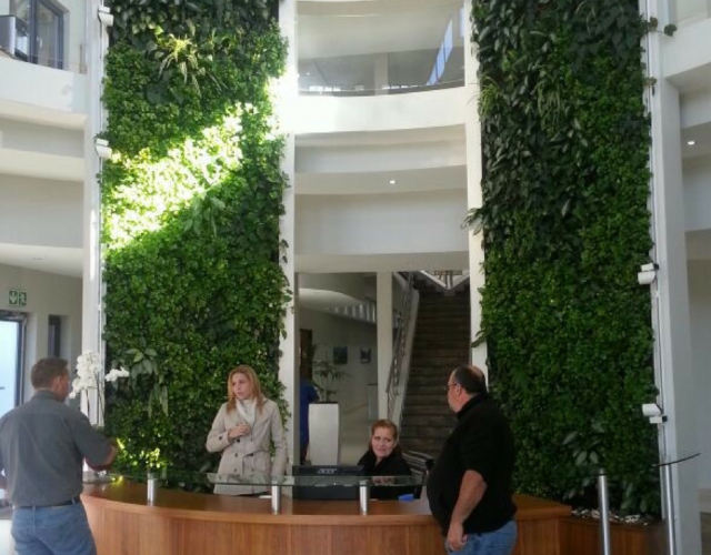 People talking at a front desk of an office space with two parallel vertical greenwalls in the background