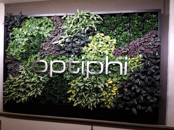 Growup green walls in office spaces
