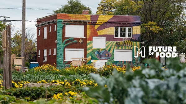 Urban farm in Detroit 