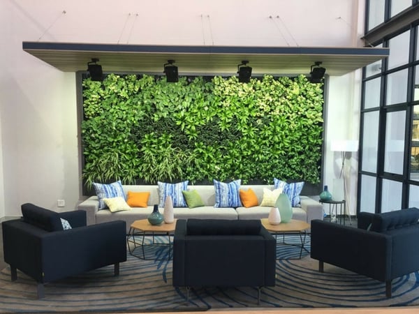 office vertical garden advantages