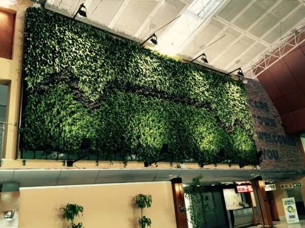 vertical garden maximize space office