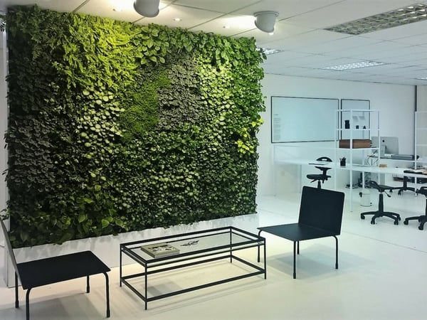 vertical garden noise reduction office