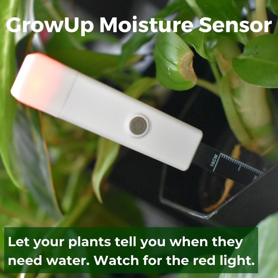 Moisture Sensor Ad