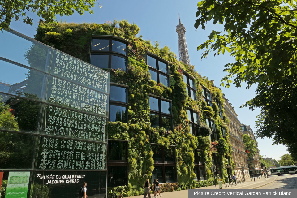 Musee Du Quai Branly - Paris 1