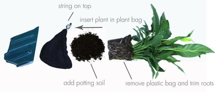 GrowUp Greenwalls potting system