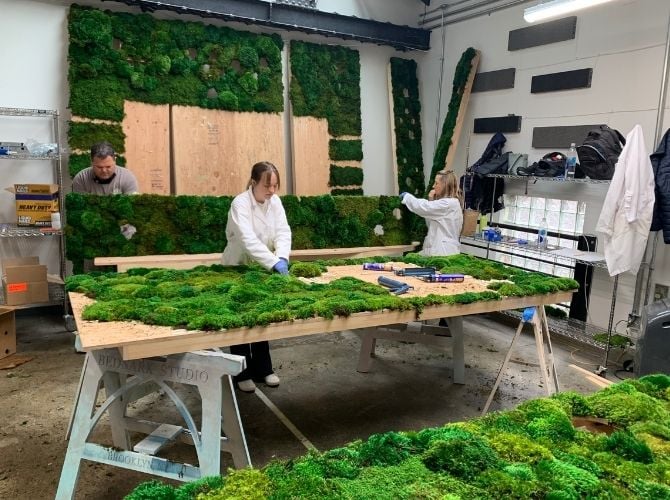 Moss wall production