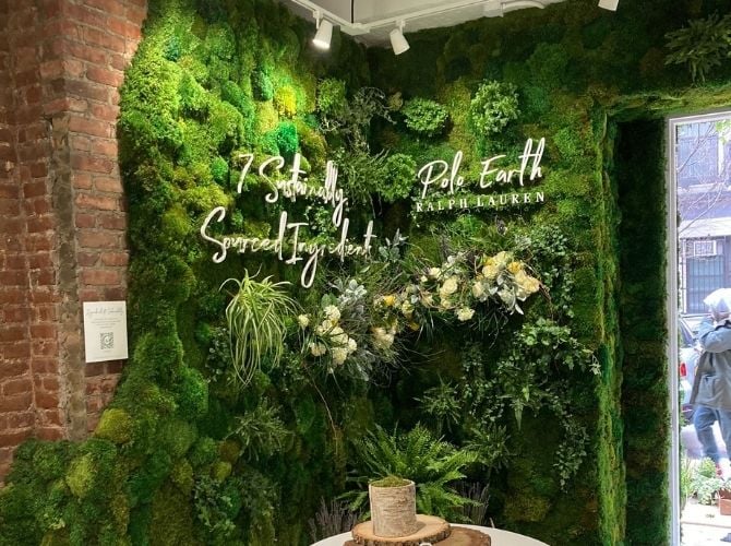Signage on moss wall that fades into a brick wall