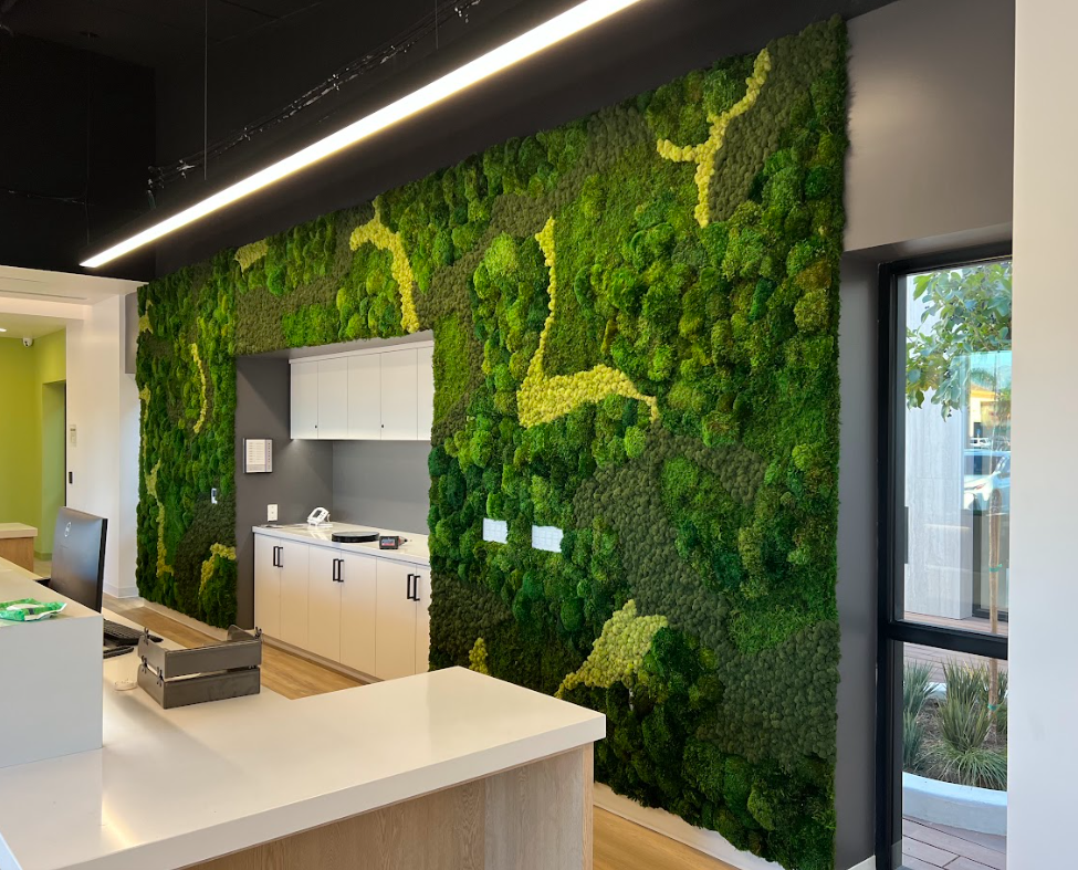 Moss wall for lobby at health center in Los Angeles