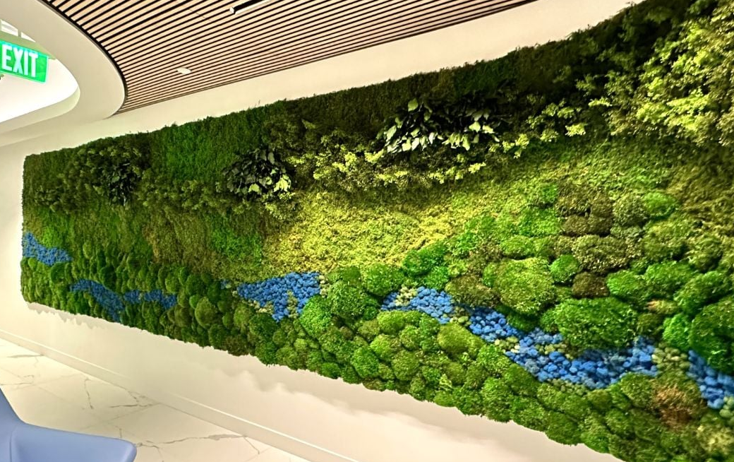 Biophilic moss wall for medical centers