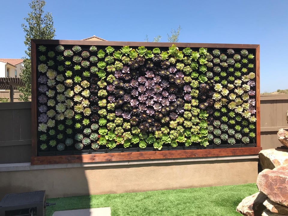 Succulent Wall-2