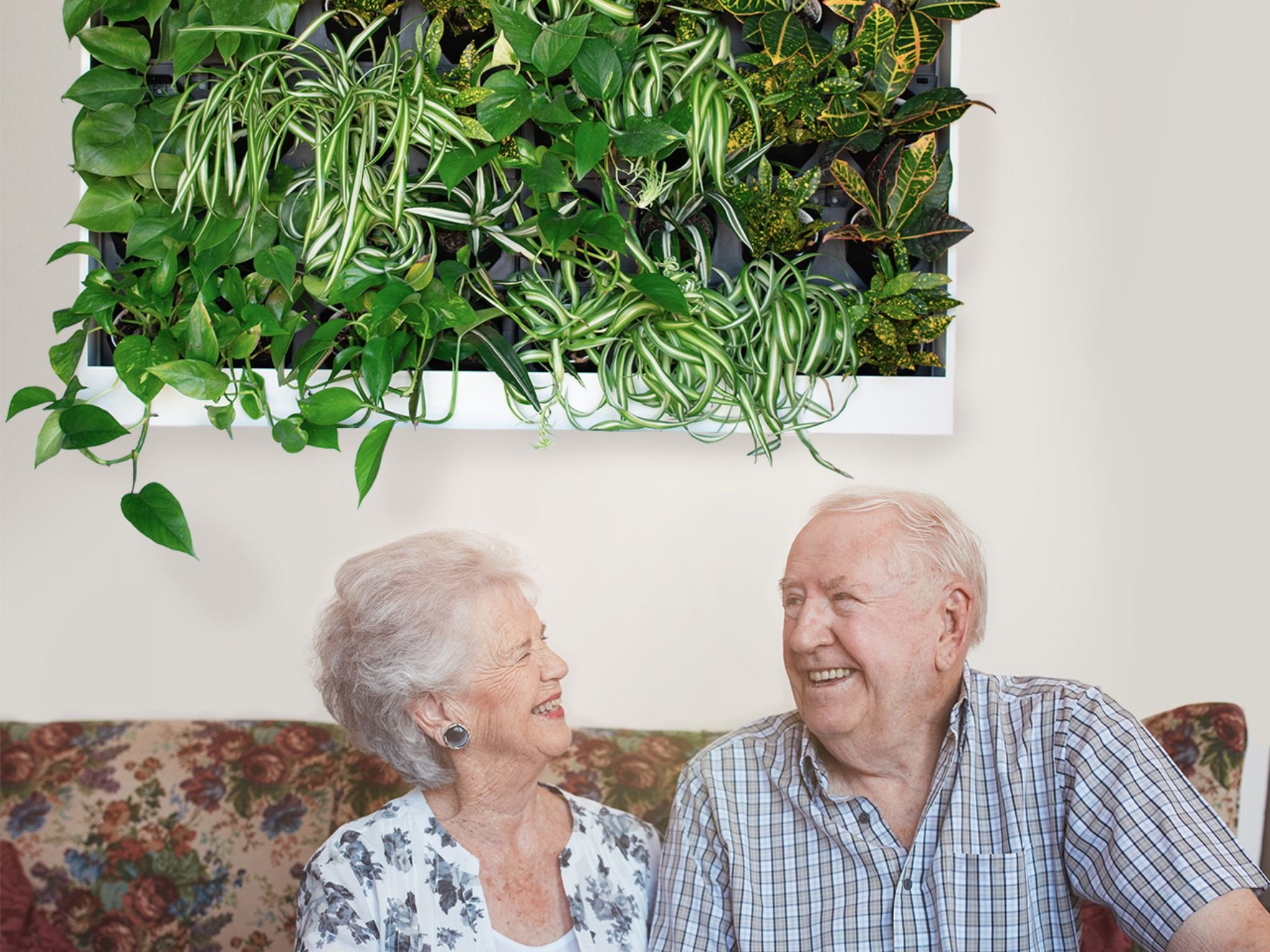 Senior couple sitting on couch in front of pre-built living plant greenwall