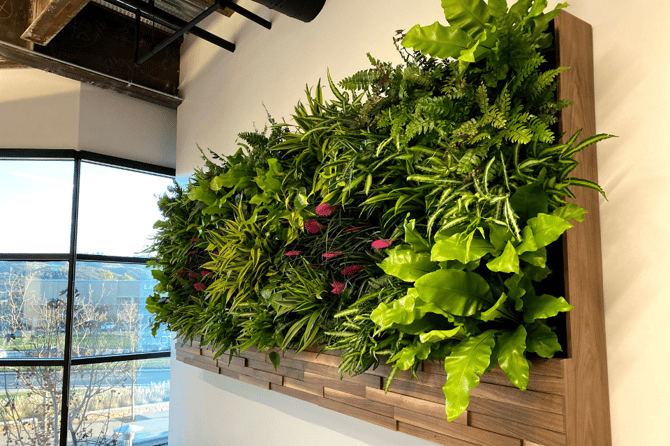 Greenwall in an office