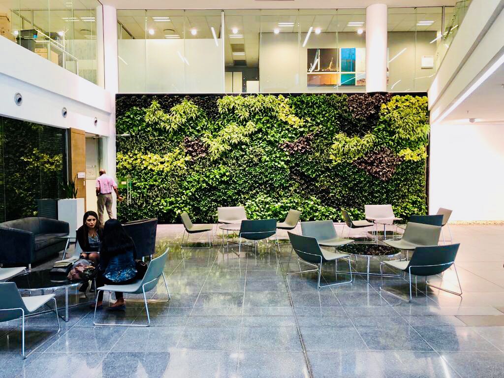 living green walls in corporate spaces 
