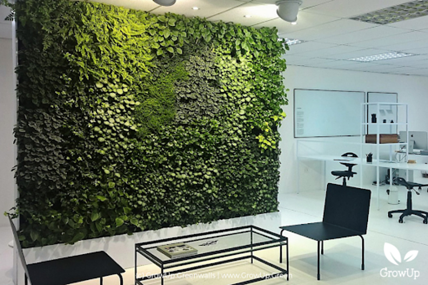 Greenwall in an office space with lighting on it