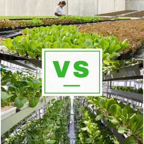 Horizontal vs Vertical farming 