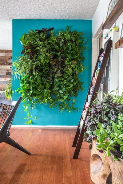 Growup vertical farming | green wall in the dining room