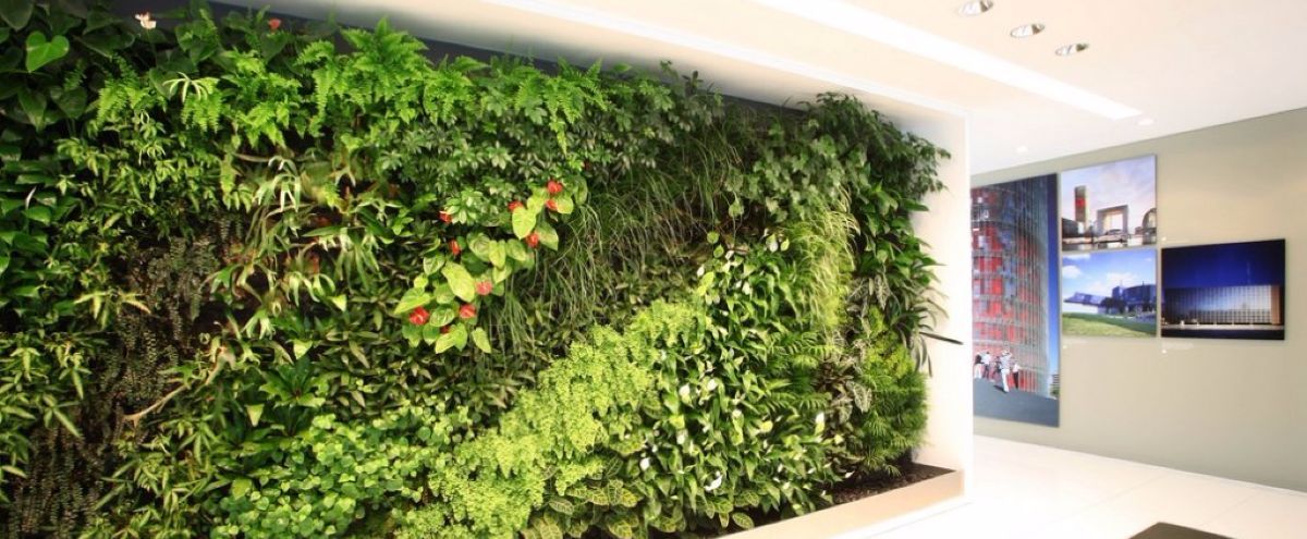 Common mistakes people make with a new green wall